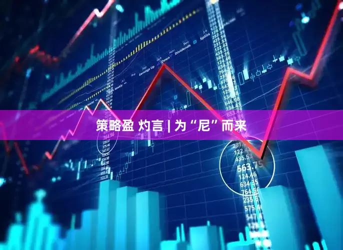 策略盈 灼言 | 为“尼”而来