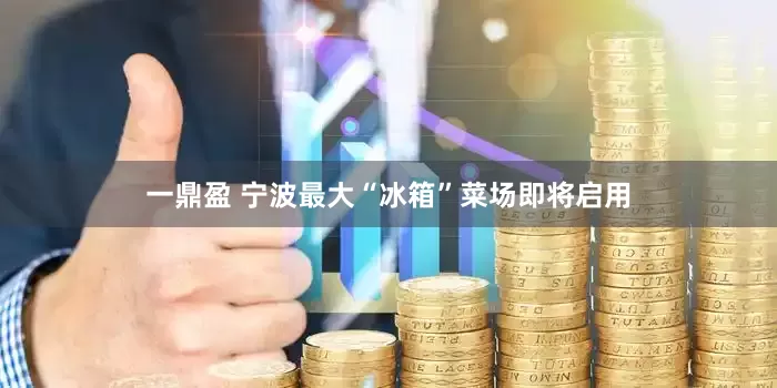 一鼎盈 宁波最大“冰箱”菜场即将启用