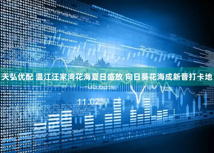 天弘优配 温江汪家湾花海夏日盛放 向日葵花海成新晋打卡地