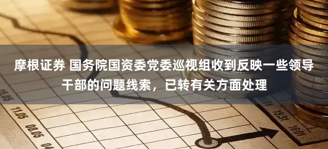 摩根证券 国务院国资委党委巡视组收到反映一些领导干部的问题线索，已转有关方面处理