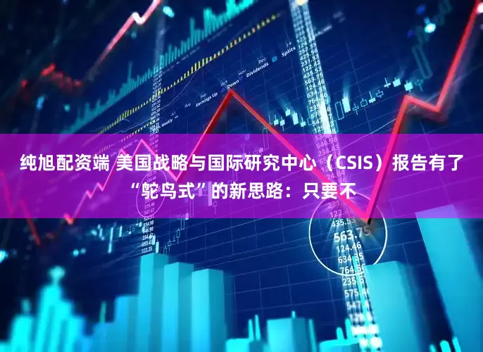 纯旭配资端 美国战略与国际研究中心（CSIS）报告有了“鸵鸟式”的新思路：只要不